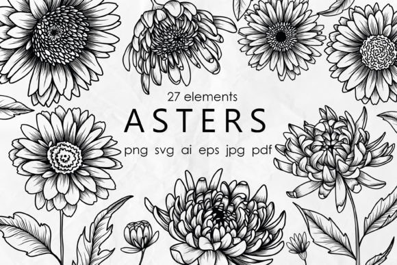 27 Aster Line Art SVGs for Modern Branding