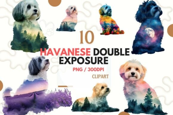 Creative Applications for the Havanese Double Exposure PNG Set