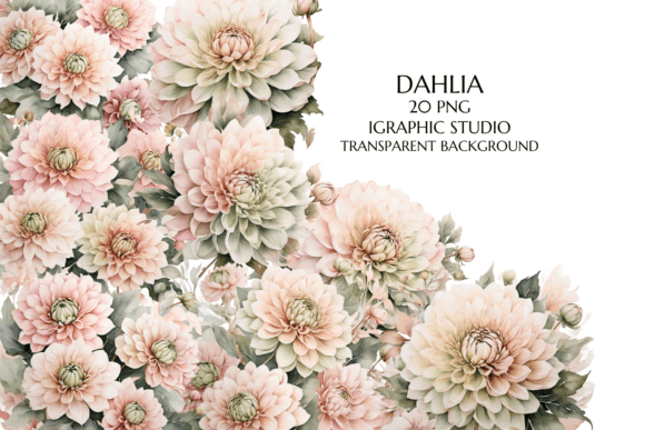 Elevate Designs with Rose Gold and Green Dahlia PNGs