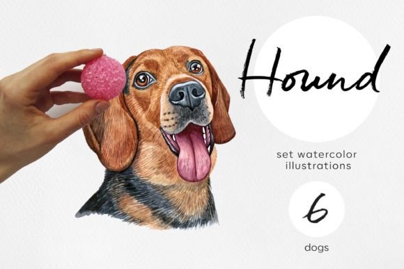 Hound Dogs Watercolor Illustrations: A Creative Asset
