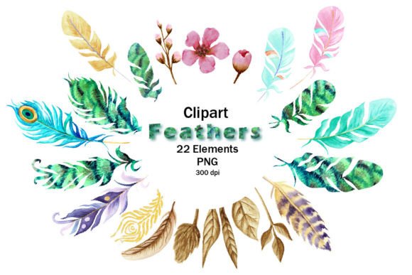 Unleash Creativity with Watercolor Feathers Clipart PNG