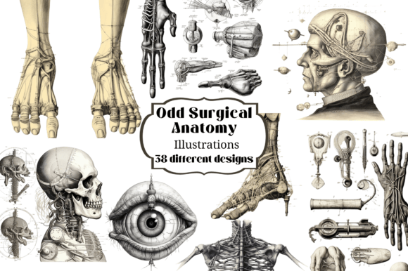 Unlocking History: 38 Antique Odd Surgical Anatomy Overlays for Creators