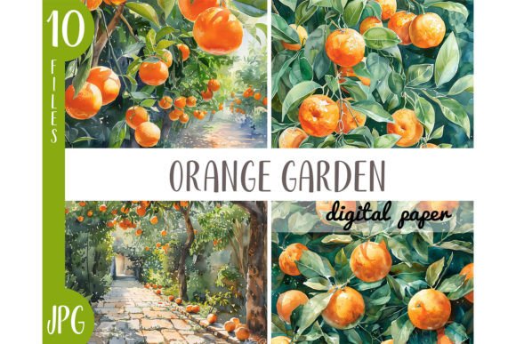 Watercolor Orange Garden: Fresh Orchard Clipart for Designers